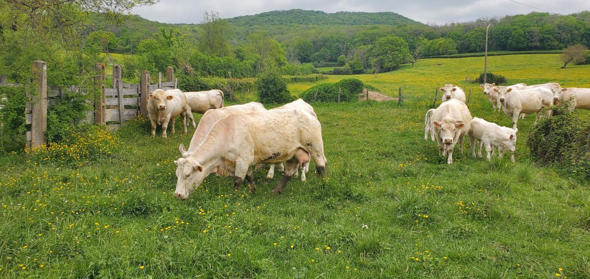 Ferienhaus La Saugeraie *